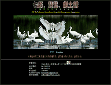 Tablet Screenshot of bfsa.org.tw